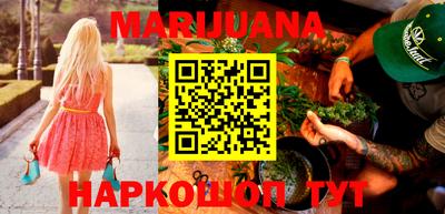 прущие грибы Новозыбков