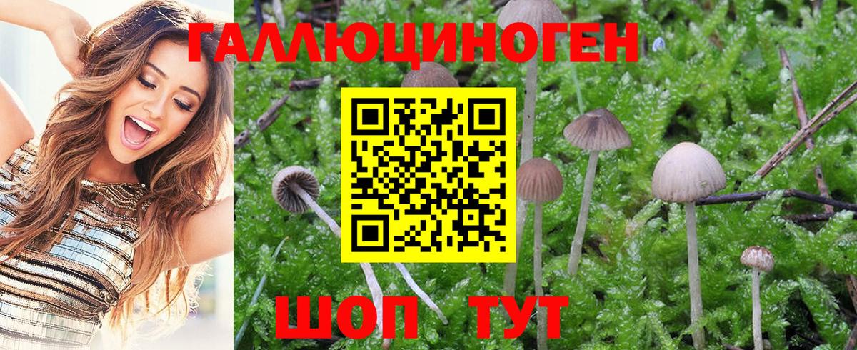 Омск  Псилоцибиновые грибы MAGIC MUSHROOMS  Псилоцибиновые грибы мухоморы  Вход с VPN 